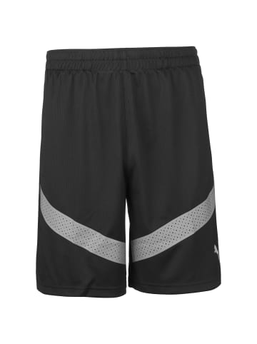 Puma Trainingsshorts teamFINAL Training in schwarz / grau