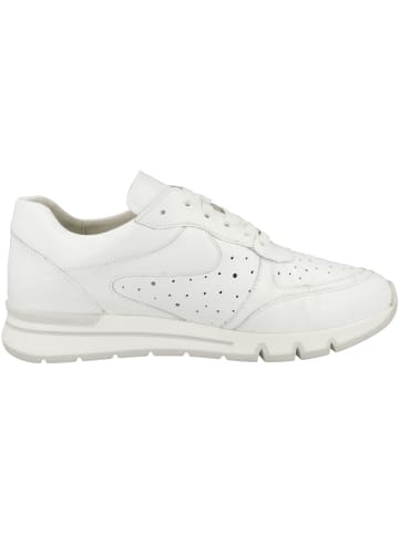 Caprice Sneaker low 9-23701-20 in weiss