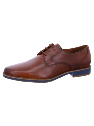 LLOYD elegante Schnürer Jerry in Braun
