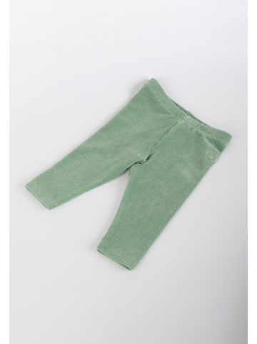 Sigikid Stretchcord Leggings in grün