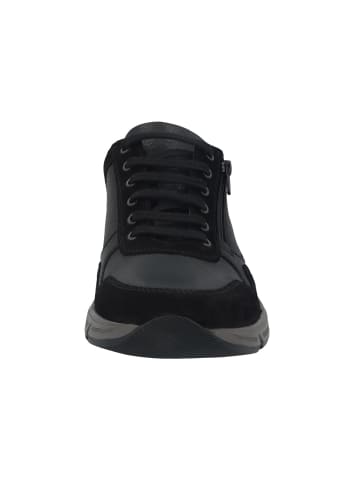 Solidus Schnürschuhe Kai VELOUR/TARTU MILLED/TARTU blac in Schwarz
