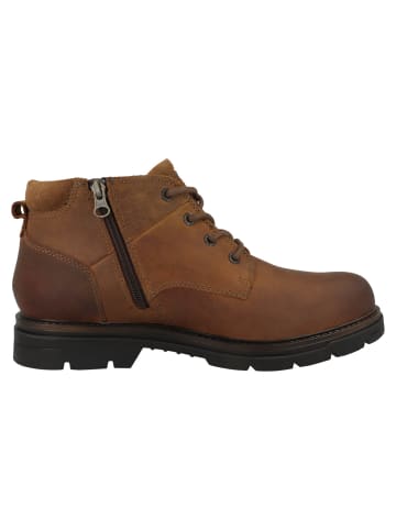 Camel Active Boots 57GUI03 in hellbraun
