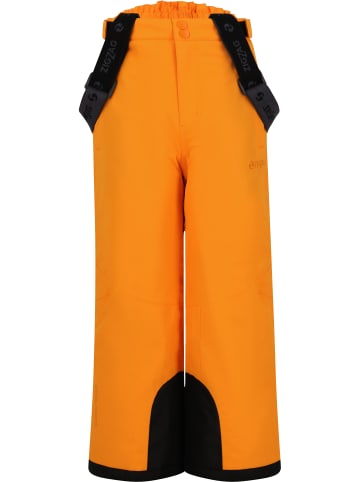 Zigzag Skihose Provo in 5102 Desert Sun