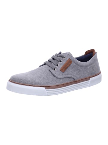 Pius Gabor Sneaker Low in grau