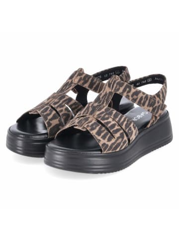 Gabor Sandalette in braun