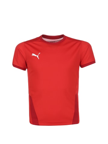 Puma Trainingsshirt TeamGOAL 23 Jersey Jr. in rot / dunkelrot