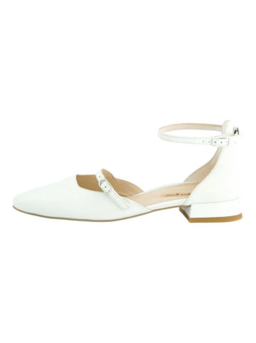 Paul Green Ballerinas in Ivory