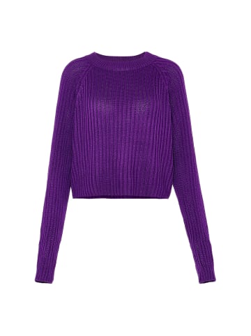 Libbi Damen Sweater in LILA