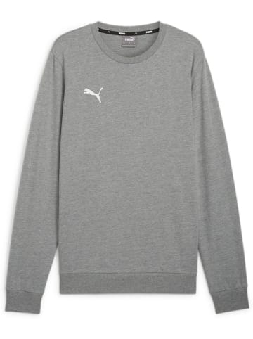 Puma Pullover "TeamGoal CasuaLongsleeve Crew Neck Sweat" in Grau