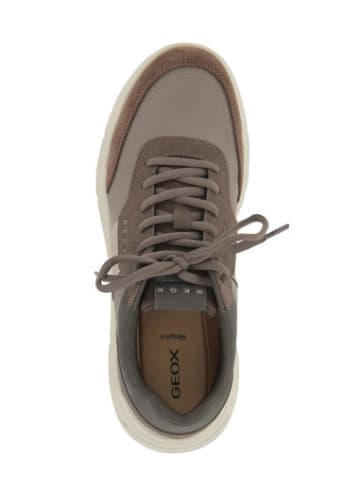 Geox Sneackers U in Dove Grey/Dk Brown