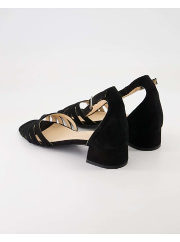 Terry Business Schuhe in Schwarz