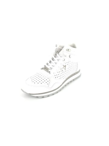 Cetti Sneaker Nature White in Nature