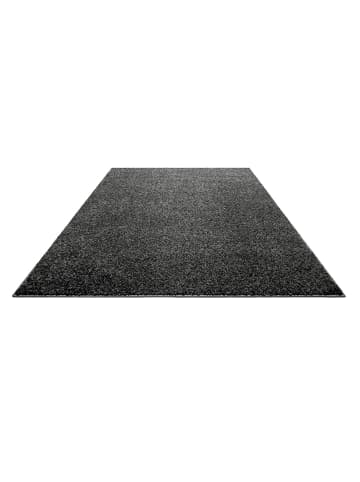 Homie Living Hochflorteppich Gino in anthrazit grau