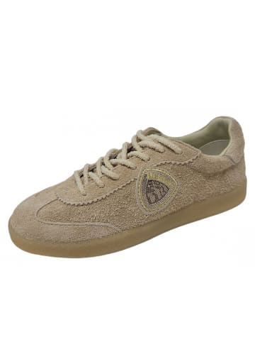 BLAUER USA Sneaker Aurora 01 in Beige