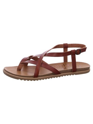 Blowfish Riemchensandalette   in Braun