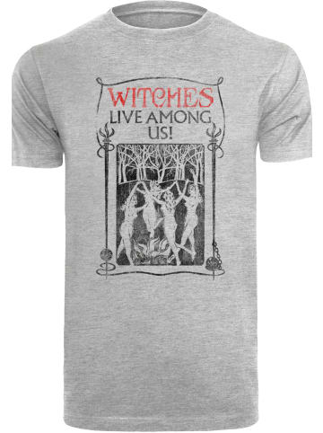 F4NT4STIC T-Shirt Phantastische Tierwesen Witches Live Among Us in grau meliert