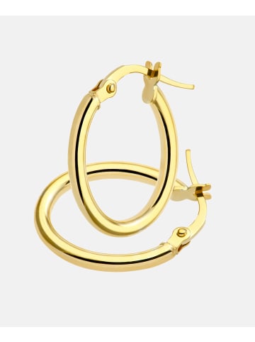 Vanlere Creolen aus 375 Gelbgold