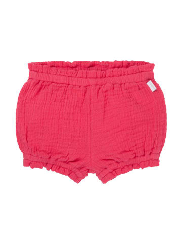 Noppies Shorts Mojave in Raspberry