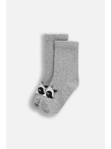 Coccodrillo Socken in grau