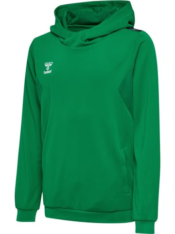 Hummel Kinder Hoodie "Hmlauthentic Pl Hoodie Kids" in Multicolor