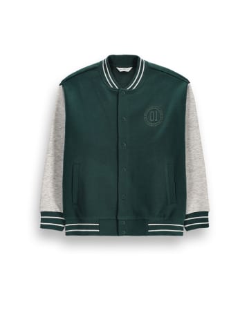 Coccodrillo Bomberjacke in grün