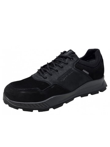 Igi&Co sportlicher Schnürer U.ELOY GTX in Schwarz