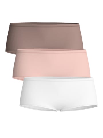 Calida Panty, 3er-Pack in multicolor