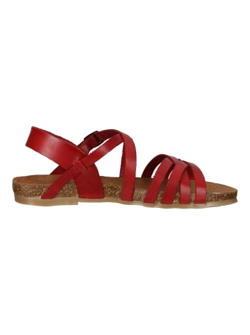 Cosmos Comfort Sandalen in Rot