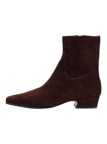 Steve Madden Stiefelette DUSTY Chocolate