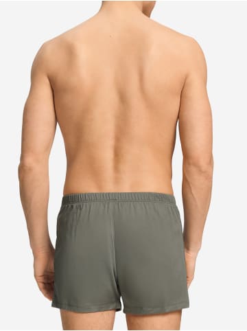Hanro Boxer Cotton Sporty in smokey olive