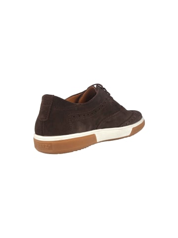 Fretz Men Sneaker  in Braun