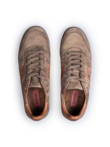 LLOYD Schuhe ELDORADO in BRAUN