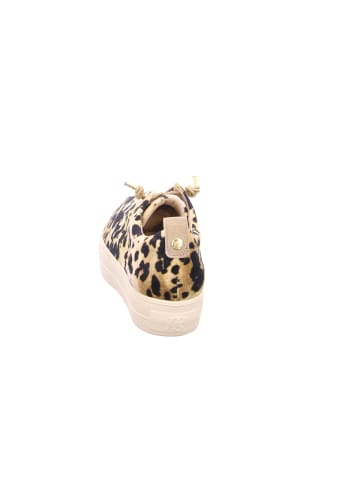 Paul Green Freizeit Schnürer für Damen in beige
