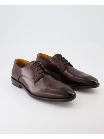 DIGEL Anzug- & Businessschuhe in Braun