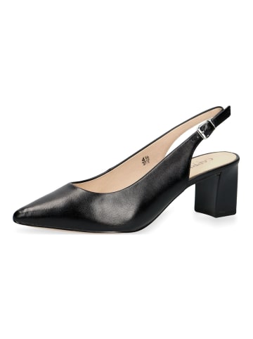 Caprice Pumps in Schwarz