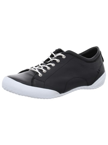 Andrea Conti SHOES Schnürschuhe in schwarz