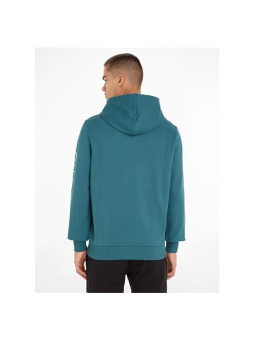 Calvin Klein Sweatshirt in foamy ocean