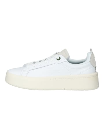 Lacoste Sneaker in Weiß