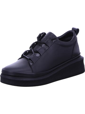 Artiker Schnürhalbschuh in schwarz