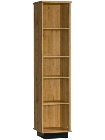 Feldmann-Wohnen Bücherregal Lamia LA10 Eiche Wotan / schwarz 40 / 36 / 175cm
