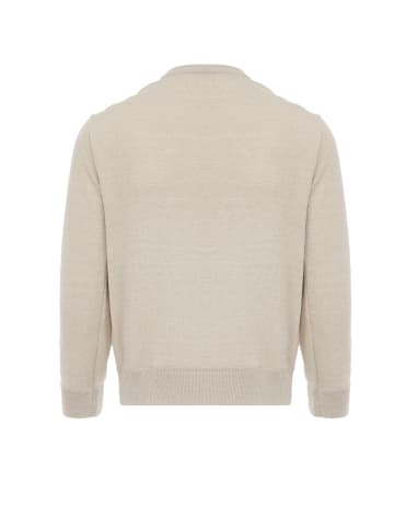 Jalene Pullover in Sand Melange