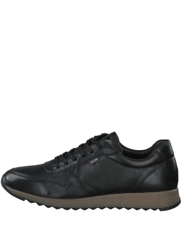 S. Oliver Sneaker für Herren in schwarz