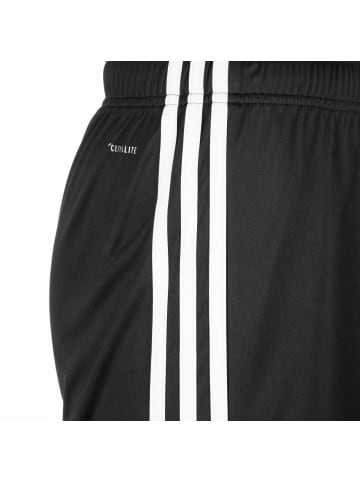 adidas Performance Funktionsshorts Tastigo 19 in schwarz / weiß