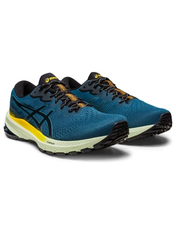 asics Laufschuhe GT-1000 11 TR in NATURE BATHING/GOLDEN YELLOW