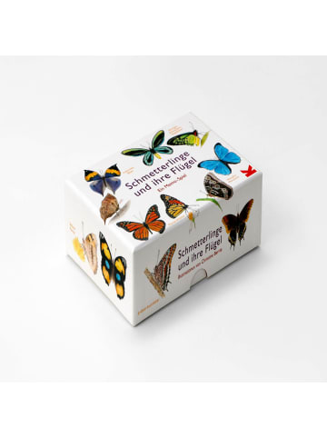 Laurence King Verlag Familienspiel Schmetterlinge und ihre Flügel in Bunt