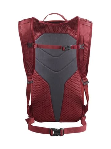 SALOMON Rucksack in Aura Orange/Biking Red