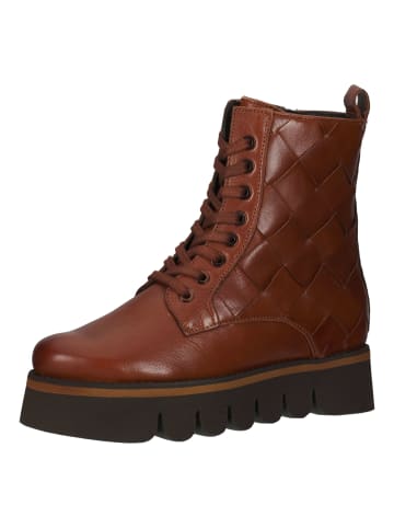 ara Stiefelette in Brandy