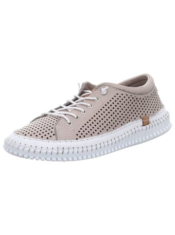 Andrea Conti SHOES Slipper in new taupe/ kombi