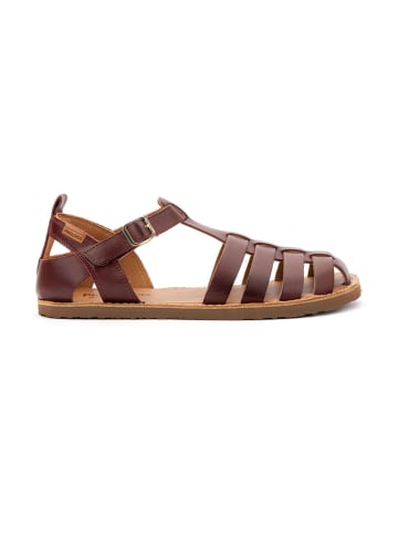 Pikolinos Römersandalen in Rot