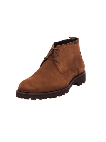 Floris van Bommel Winterstiefeletten in cognac